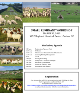 Cover photo for Small Ruminant Workshop 2019